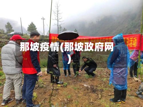 那坡疫情(那坡政府网)