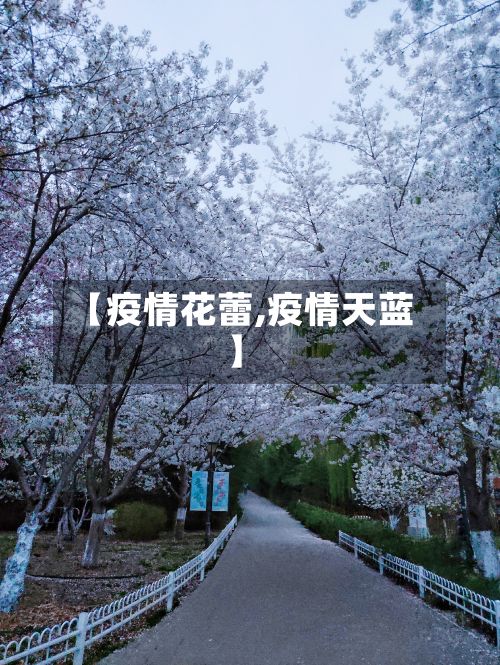 【疫情花蕾,疫情天蓝】