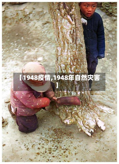 【1948疫情,1948年自然灾害】-第2张图片
