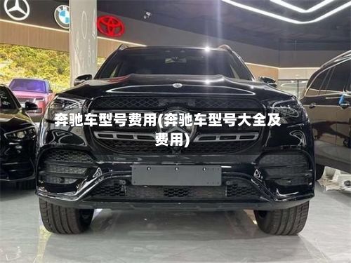 奔驰车型号费用(奔驰车型号大全及费用)-第3张图片