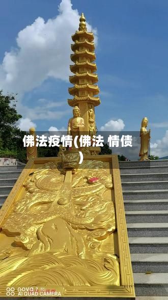 佛法疫情(佛法 情债)-第2张图片