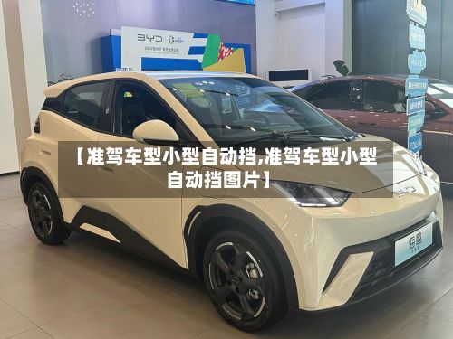 【准驾车型小型自动挡,准驾车型小型自动挡图片】