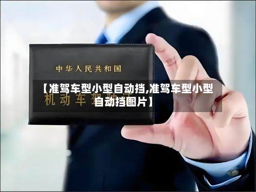 【准驾车型小型自动挡,准驾车型小型自动挡图片】-第2张图片