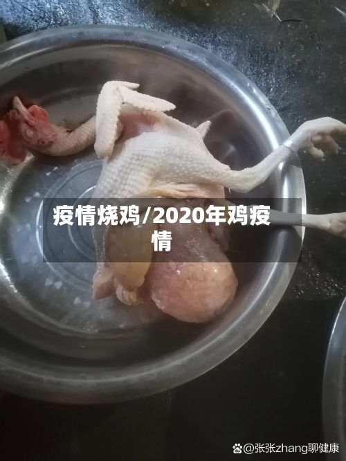 疫情烧鸡/2020年鸡疫情-第2张图片
