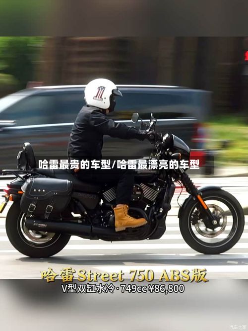 哈雷最贵的车型/哈雷最漂亮的车型-第3张图片