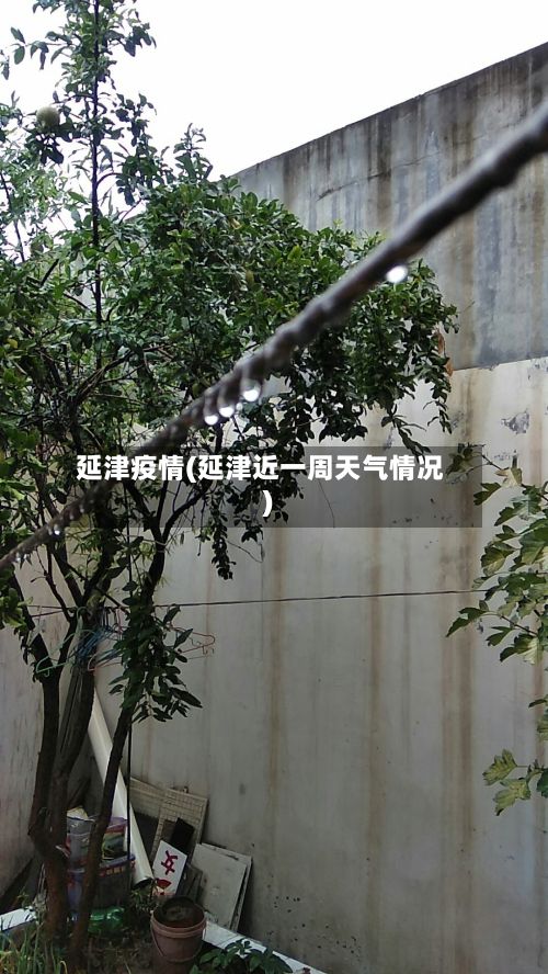延津疫情(延津近一周天气情况)
