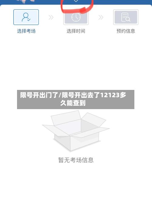限号开出门了/限号开出去了12123多久能查到