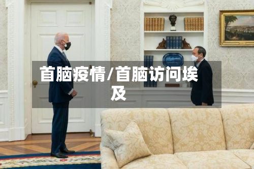首脑疫情/首脑访问埃及