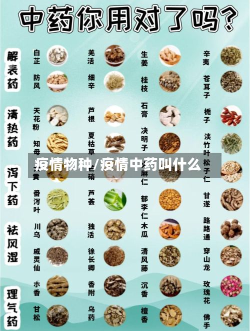 疫情物种/疫情中药叫什么