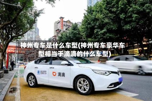 神州专车是什么车型(神州专车豪华车型相当于滴滴的什么车型)-第2张图片