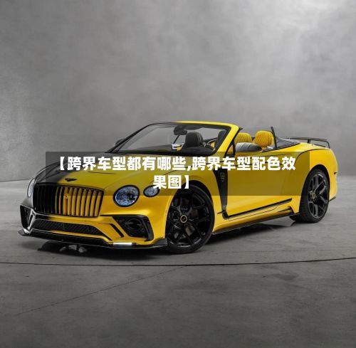 【跨界车型都有哪些,跨界车型配色效果图】