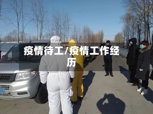 疫情待工/疫情工作经历