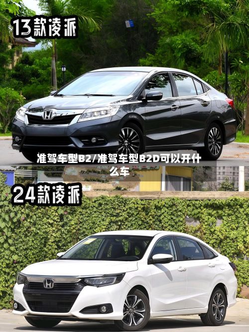 准驾车型B2/准驾车型B2D可以开什么车