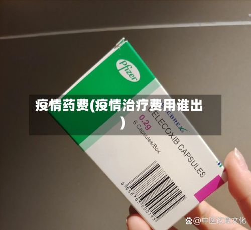 疫情药费(疫情治疗费用谁出)