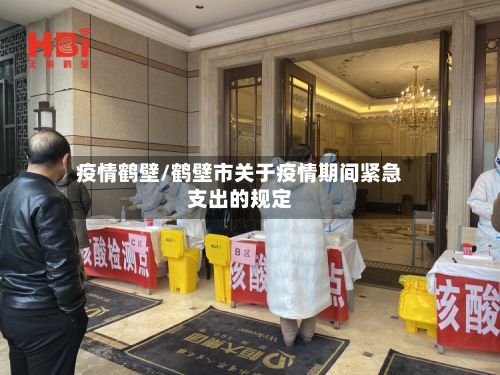 疫情鹤壁/鹤壁市关于疫情期间紧急支出的规定-第2张图片