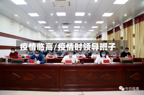 疫情临高/疫情时领导班子