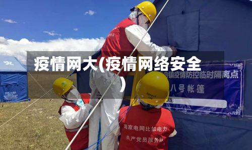 疫情网大(疫情网络安全)