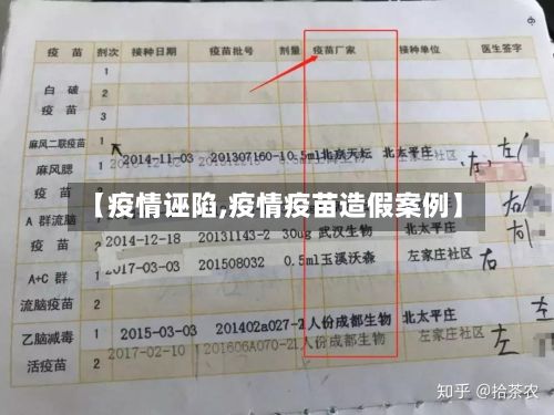 【疫情诬陷,疫情疫苗造假案例】