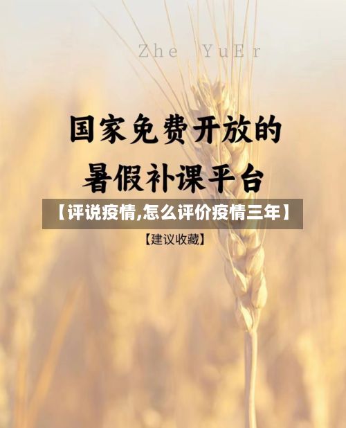 【评说疫情,怎么评价疫情三年】