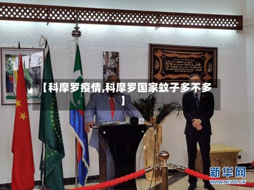 【科摩罗疫情,科摩罗国家蚊子多不多】-第2张图片