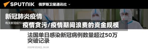 疫情贪污/疫情期间浪费的资金规模