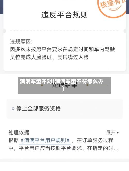 滴滴车型不对(滴滴车型不符怎么办)