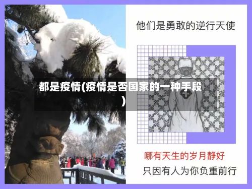 都是疫情(疫情是否国家的一种手段)-第2张图片
