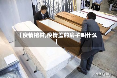 【疫情棺材,疫情盖的房子叫什么】-第2张图片