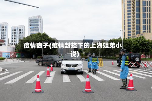 疫情疯子(疫情封控下的上海姐弟小说)-第2张图片