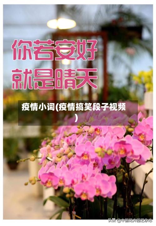 疫情小词(疫情搞笑段子视频)-第2张图片