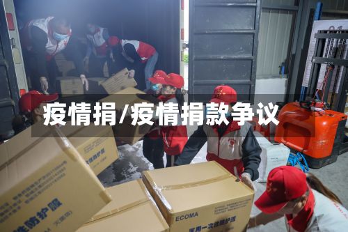 疫情捐/疫情捐款争议