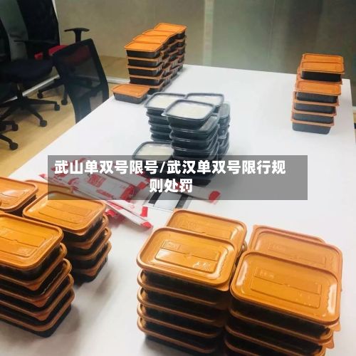 武山单双号限号/武汉单双号限行规则处罚