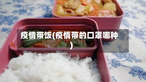 疫情带饭(疫情带的口罩哪种)