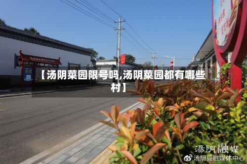 【汤阴菜园限号吗,汤阴菜园都有哪些村】-第3张图片