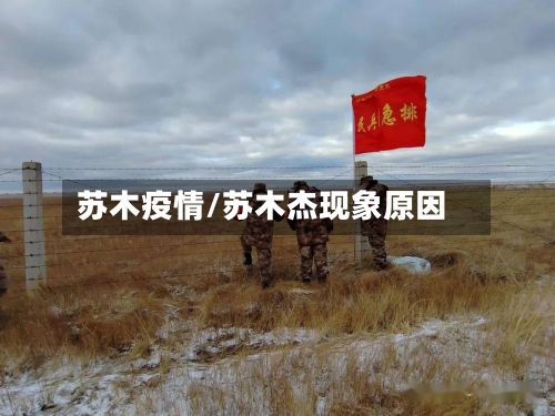 苏木疫情/苏木杰现象原因-第3张图片