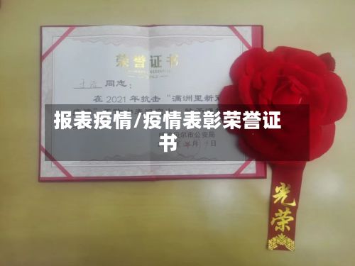 报表疫情/疫情表彰荣誉证书