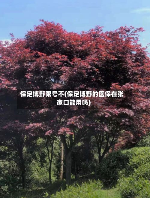 保定博野限号不(保定博野的医保在张家口能用吗)-第2张图片