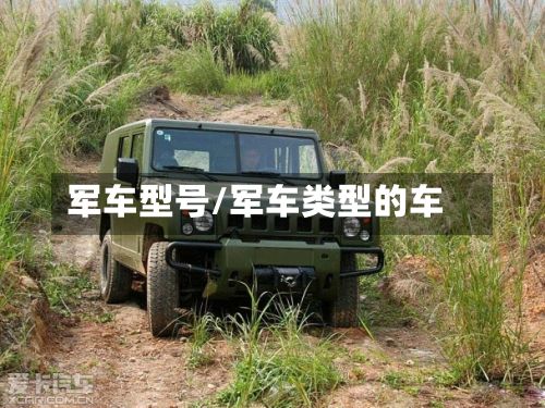 军车型号/军车类型的车-第2张图片
