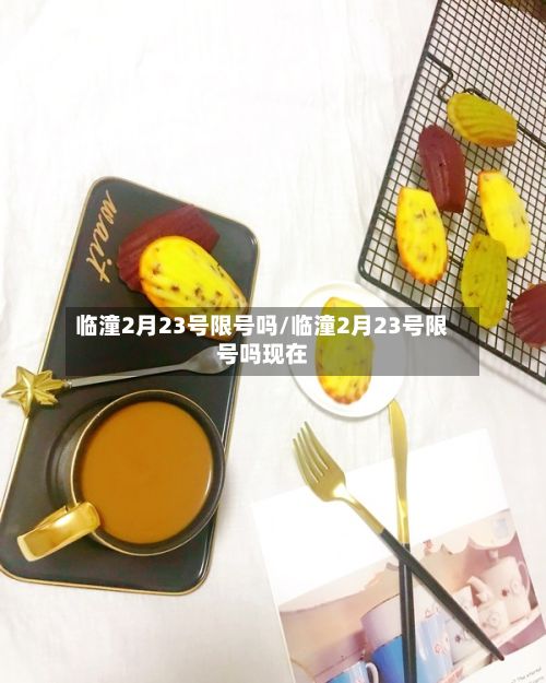 临潼2月23号限号吗/临潼2月23号限号吗现在-第1张图片