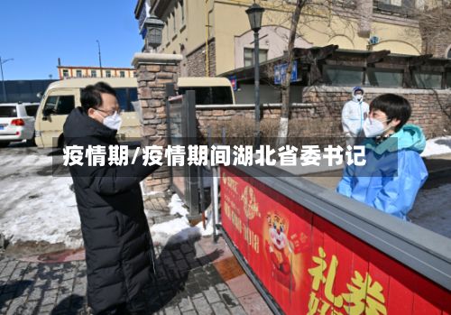 疫情期/疫情期间湖北省委书记