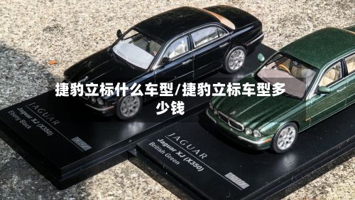 捷豹立标什么车型/捷豹立标车型多少钱