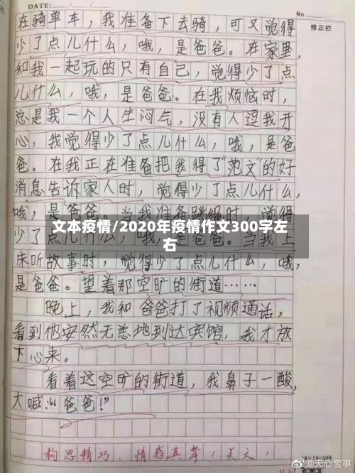 文本疫情/2020年疫情作文300字左右-第2张图片