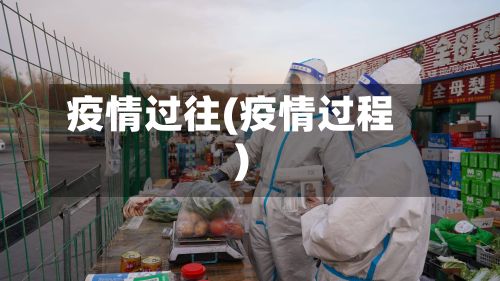 疫情过往(疫情过程)-第2张图片