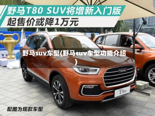野马suv车型(野马suv车型功能介绍)