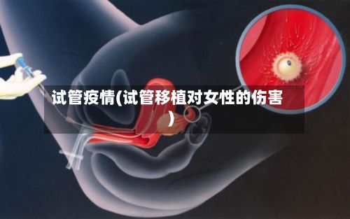 试管疫情(试管移植对女性的伤害)-第2张图片