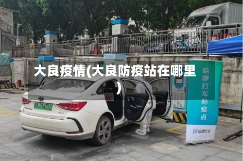 大良疫情(大良防疫站在哪里)
