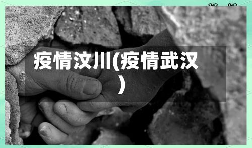 疫情汶川(疫情武汉)