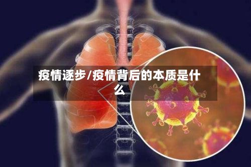 疫情逐步/疫情背后的本质是什么