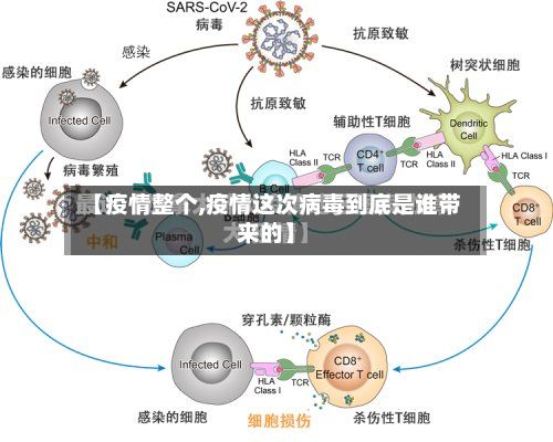【疫情整个,疫情这次病毒到底是谁带来的】