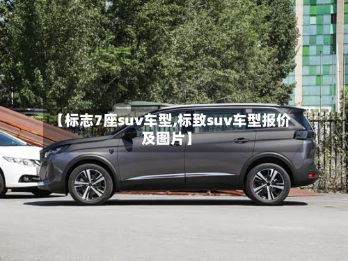 【标志7座suv车型,标致suv车型报价及图片】-第2张图片